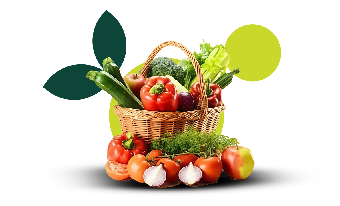 Start Your Fresh Supply Journey