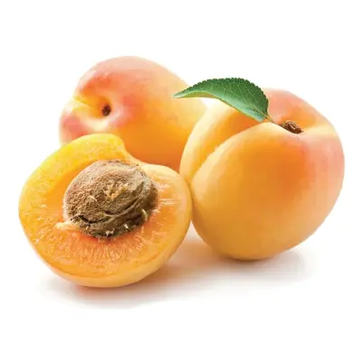 APRICOT