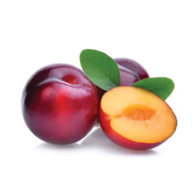 PLUM