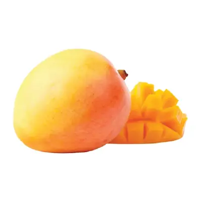 R2E2 Mango