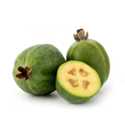 Feijoa