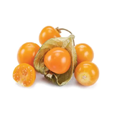 Physalis