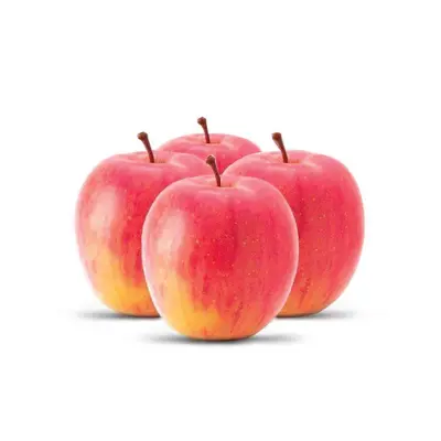 APPLE FUJI JUMBO HOLLAND