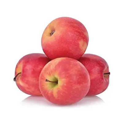 APPLE PINK LADY HOLLAND