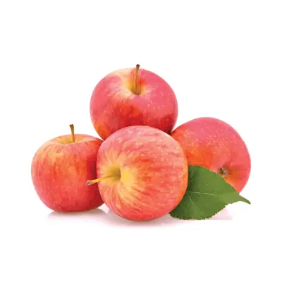 APPLE ROYAL GALA HOLLAND