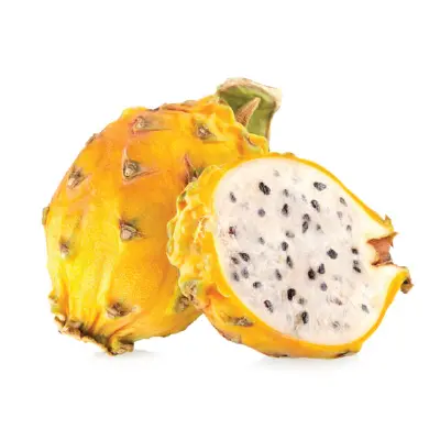 Dragon Fruit Yellow