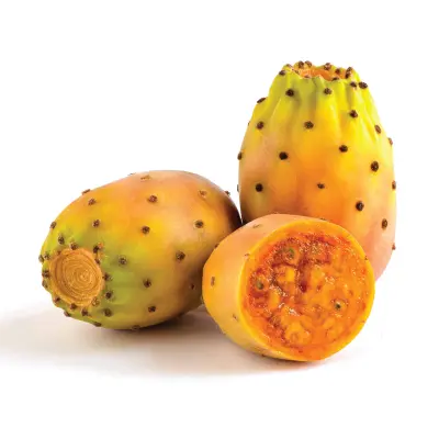 Figs Cactus
