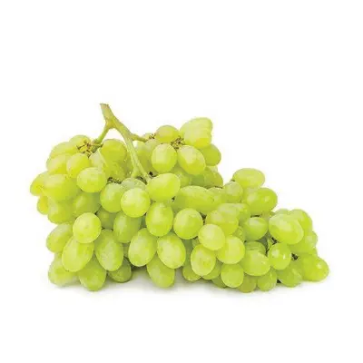 Grapes Seedless White Holland