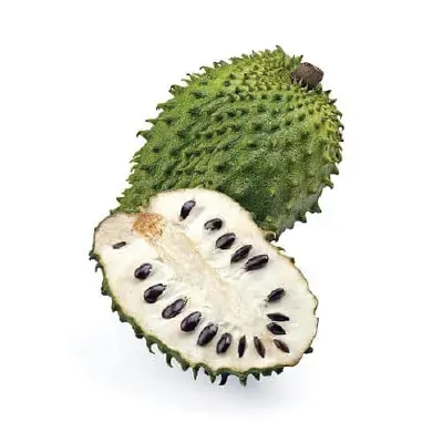 Guanabana Holland