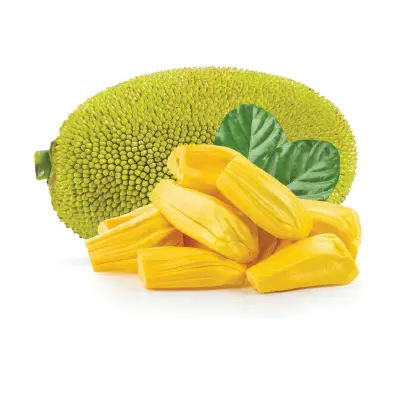 Jackfruit