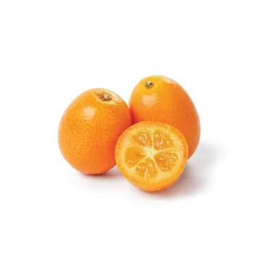 Kumquat