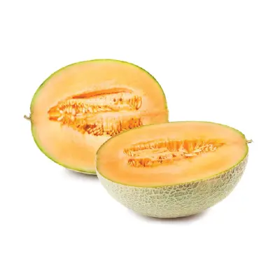 CANTALOUPE 