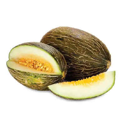  Piel de Sapo HOLLAND