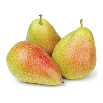 PEARS HOLLAND