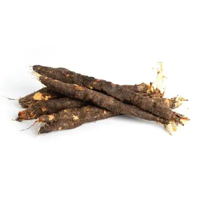 Salsify