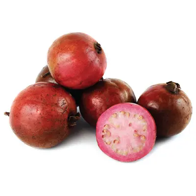 Guava Red