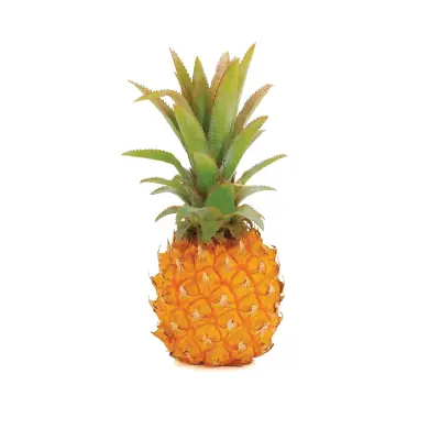 BABY PINEAPPLE