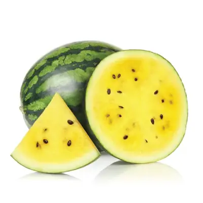 Water Melon Yellow