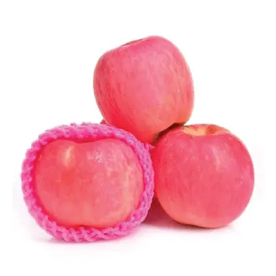 APPLE FUJI JUMBO USA