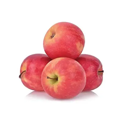 APPLE PINK LADY USA