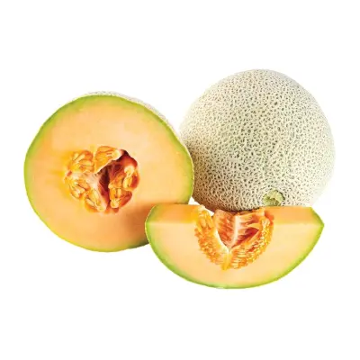 MELON CANTALOUPE USA