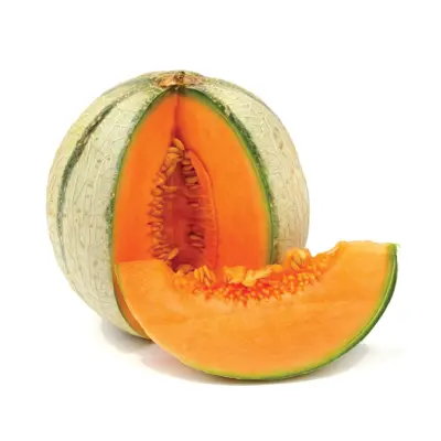  MELON CHARANTAIN USA