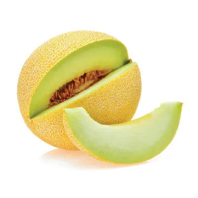MELON GALIA USA