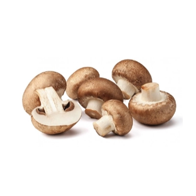 Brown Mushroom