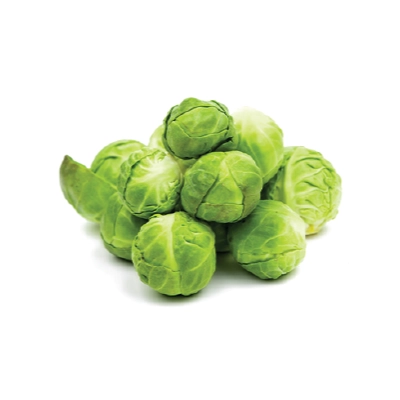 BRUSSEL SPROUTS Holland