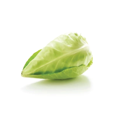 Cabbage Spring