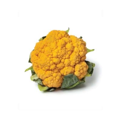  Cauli Flower Romensco Orange