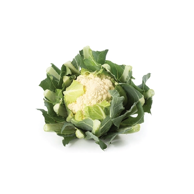Cauli Flower Romensco White