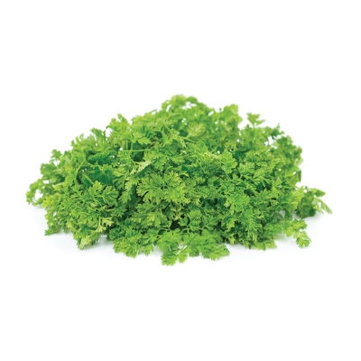 Chervil