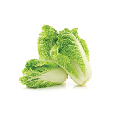 Chinese Cabbage 