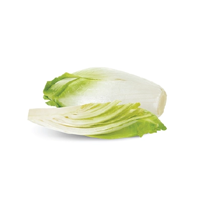 Endive White