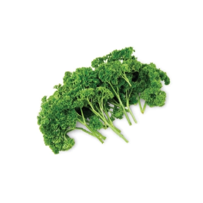 English Parsley