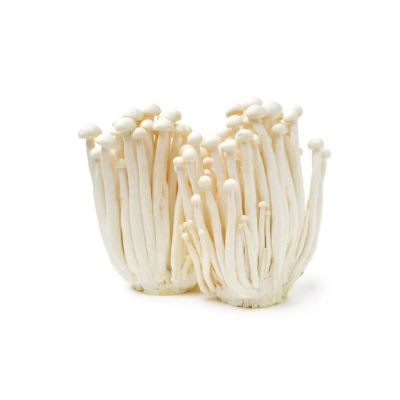 Enoki Mushroom