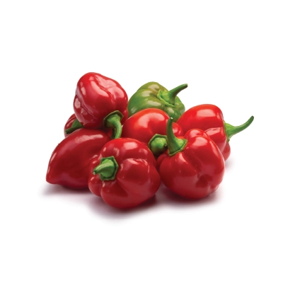Habanero Hot Peppers 