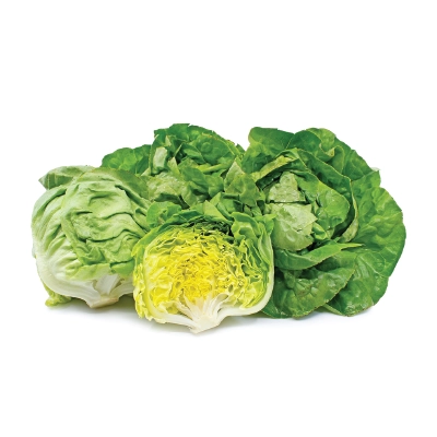 Lettuce Bostan