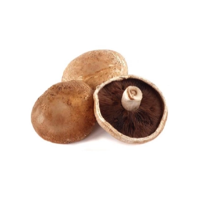Portabello Mushroom HOLLAND