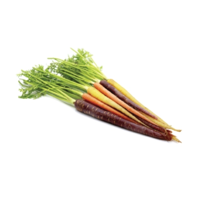 Rainbow Carrot