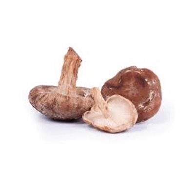 Shiitake Mushroom