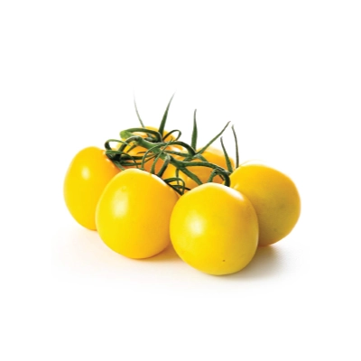 Tomato on the Vine Yellow
