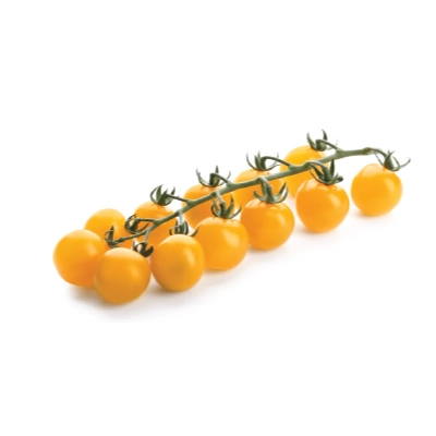 Tomato Cherry Yellow Bunch Intense