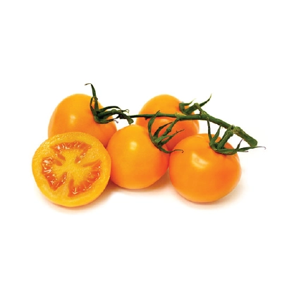 Tomato on the Vine Orange