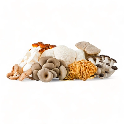  Wild Mix Mushrooms