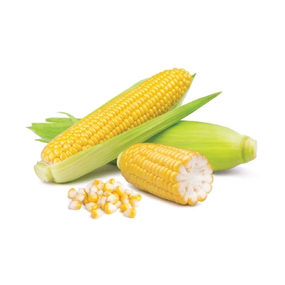 Sweet Corn
