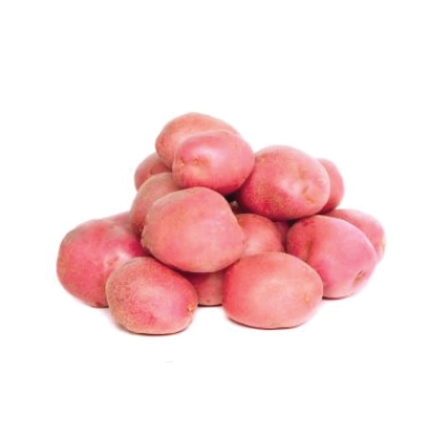 Baby Potato Red