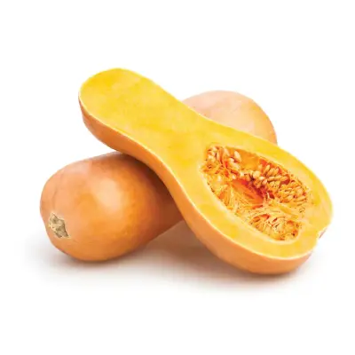 BUTTERNUT SQUASH USA