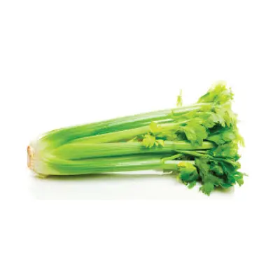 CELERY SLEEVES